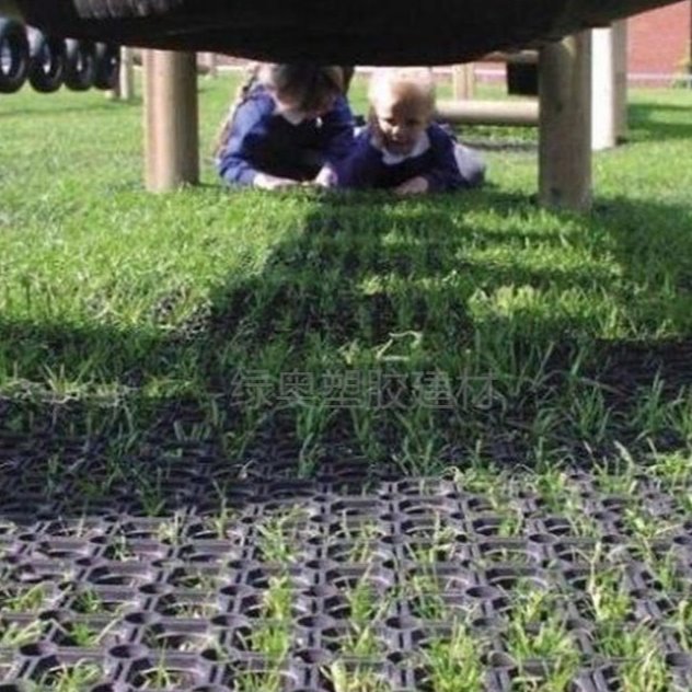 塑料植草格 园林绿化工程用停车位植草板 护坡植草格定制图片