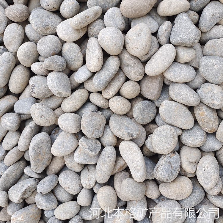 北京厂家供应 水处理垫层鹅卵石 人工分拣鹅卵石 园林小溪河卵石 质量可靠