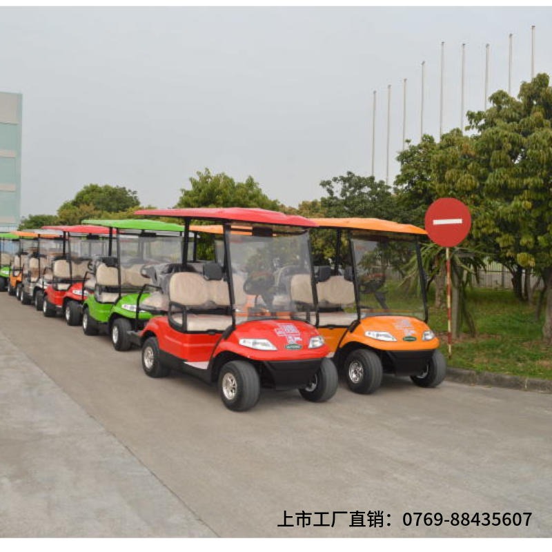 广东高尔夫车 LT-A627-22-3电动观光车,绿通车 看房电瓶车