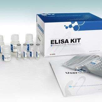 大鼠可溶性白细胞分化抗原86(B7-2/sCD86)ELISA试剂盒