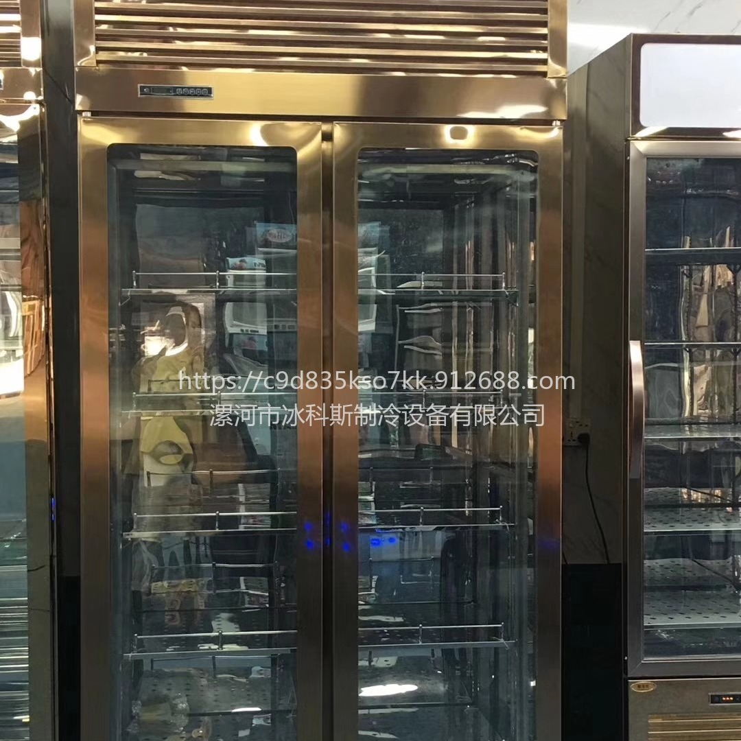 莱西酒店熟成柜  牛排风干柜 定制款前后玻璃排酸柜 未来雪定制 WLX-NR-53