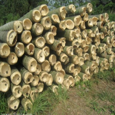京西竹业厂家大量批发 电网搭架用的毛竹杆 电网搭架竹杆价格图片