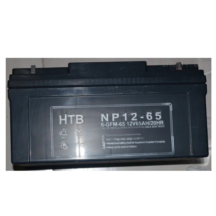 HTB蓄电池NP12-100UPS EPS直流屏机房设备船用电厂12V100AH质保无忧