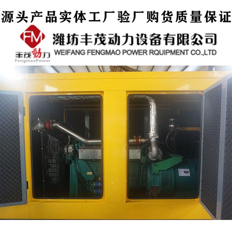 300千瓦潍坊静音箱发电机组封闭式300kw静音发电机组噪声小低噪音排放