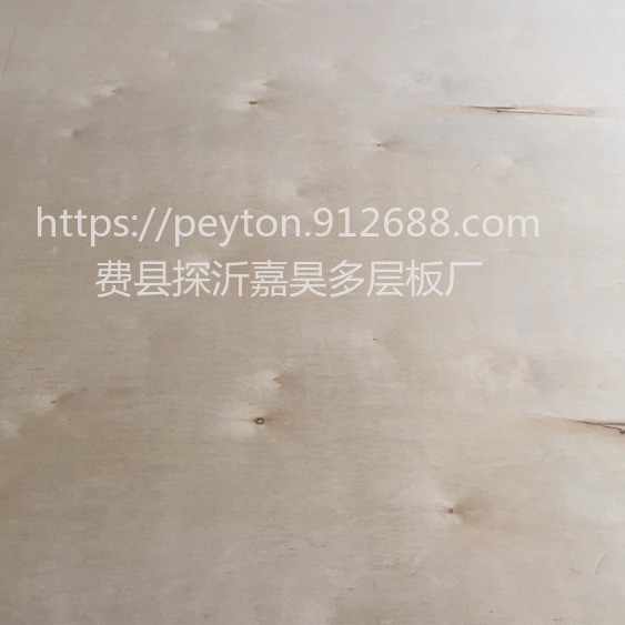 厂家供应木板材五厘板出口包装板桦木胶合板加工木质家具板