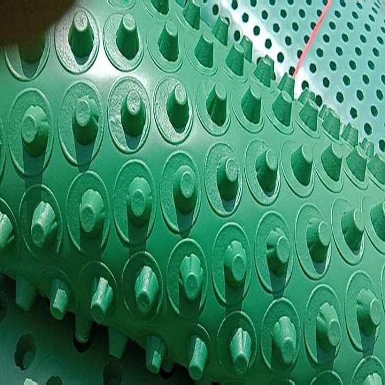 绍兴排水板厂家 排水板价格 屋面种植滤水板 车库顶绿化塑料排水板 20高蓄排水板
