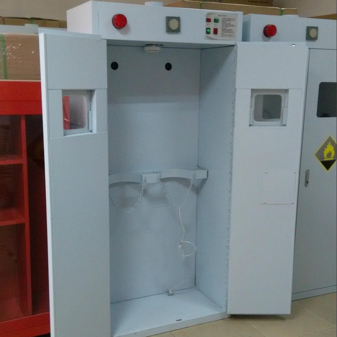 禄米 实验室全钢气瓶柜 实验室储存柜定制 LM-QPG52511
