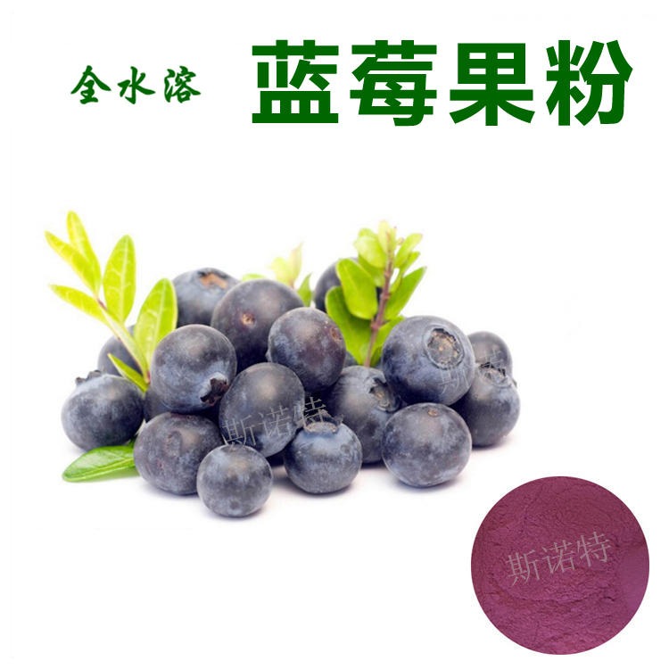 蓝莓粉 蓝莓果粉 含花青素 SNT水果粉喷雾干燥好溶解