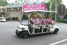 重庆大足石刻十四座敞开式观光车 景区游览观光车示例图19