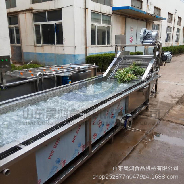 现货供应橄榄菜清洗机 两年质保 水果大型清洗机 蔬菜气泡果蔬清洗生产线图片