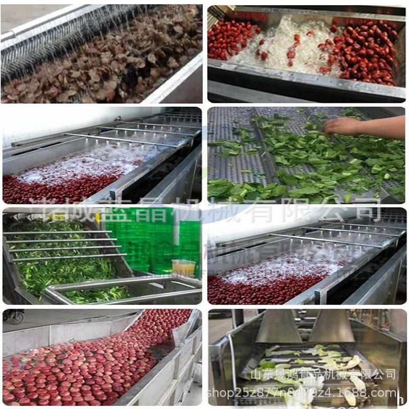 橄榄菜清洗机 两年质保 水果大型清洗机 蔬菜气泡果蔬清洗生产线示例图12