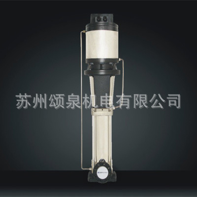 杭州南方水泵DSL静音型不锈钢热水泵立式多级离心泵增压泵热水泵