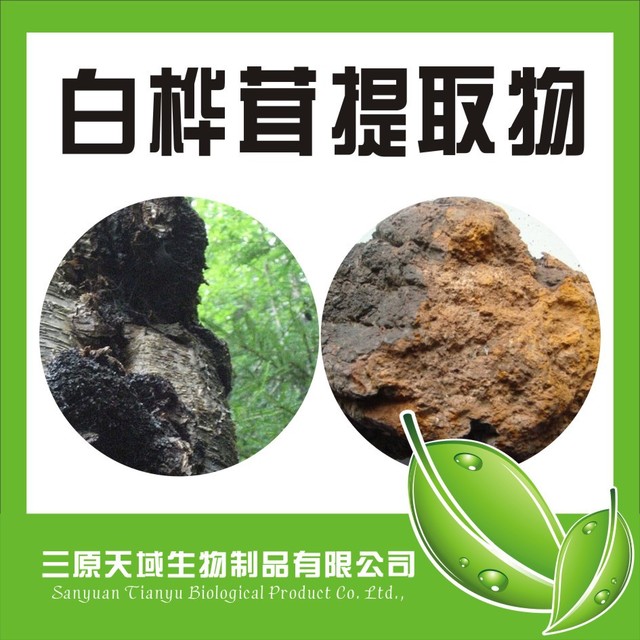 陕西新天域生物供应白桦茸提取物 白桦茸多糖30%  厂家图片