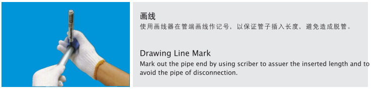 上海挺特 薄壁不锈钢水管 单卡压式直通 等径对接头 直接 直通示例图7