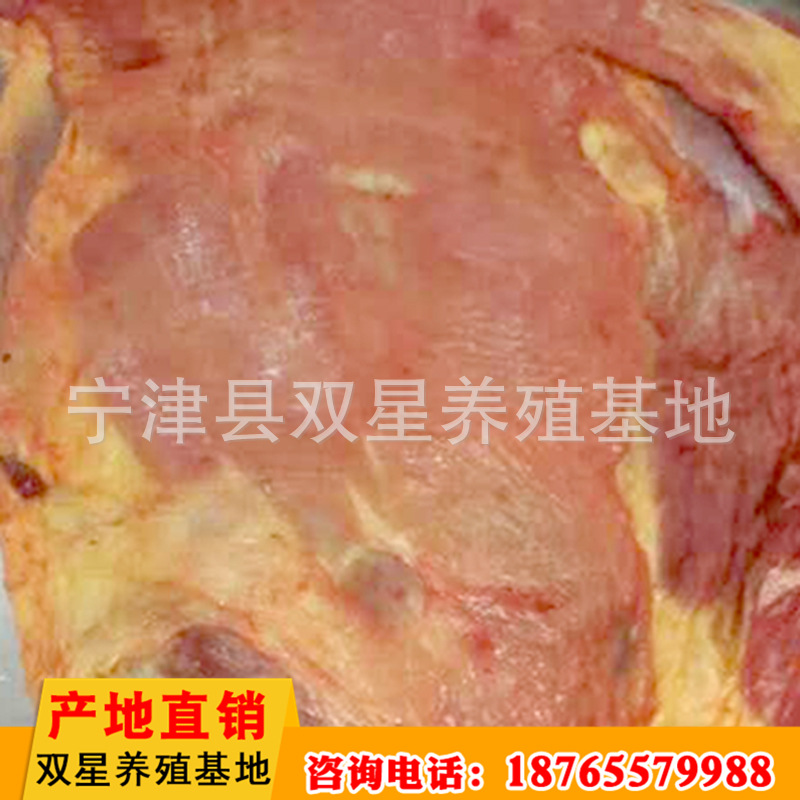 厂家进口蒙古马肉 传统美味食品马后腿肉现场现杀冷冻批发示例图3