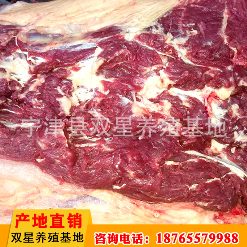 厂家直销  蒙古草原进口马肉 新鲜前腿肉质鲜美营养丰富示例图17
