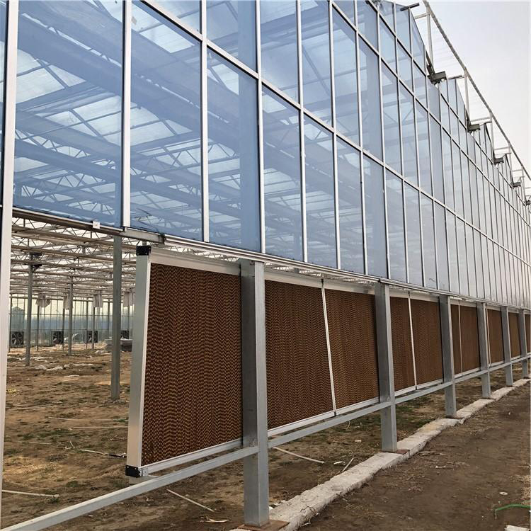 玻璃大棚温室建设 四季蔬菜大棚 纹络玻璃大棚 博伟 BW