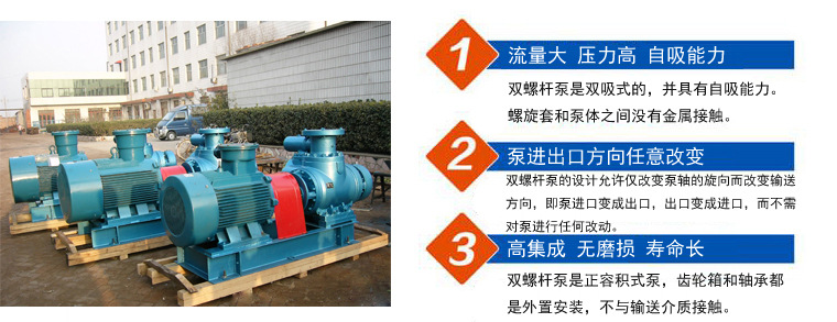 润滑脂输送泵W6.4ZK-75Z1M1W73双螺杆泵-远东泵业示例图3