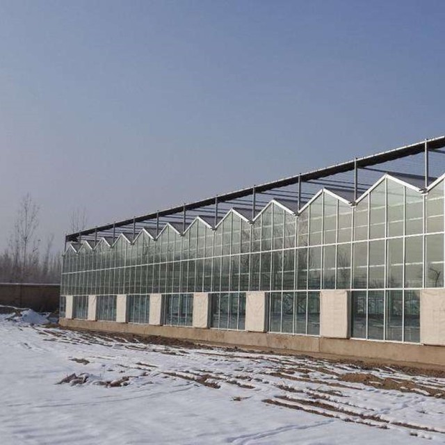 青州盛鸿蔬菜花卉玻璃温室 透明玻璃阳光房 玻璃阳光板温室房