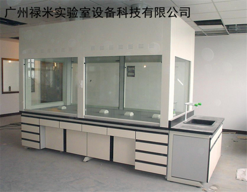 广东桌上型通风柜厂家 禄米实验室设备LUMI-TF11Z