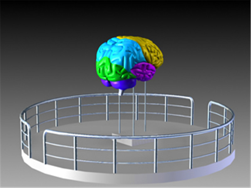 大脑的秘密    科学探究器材 科技展品 科技馆示例图4
