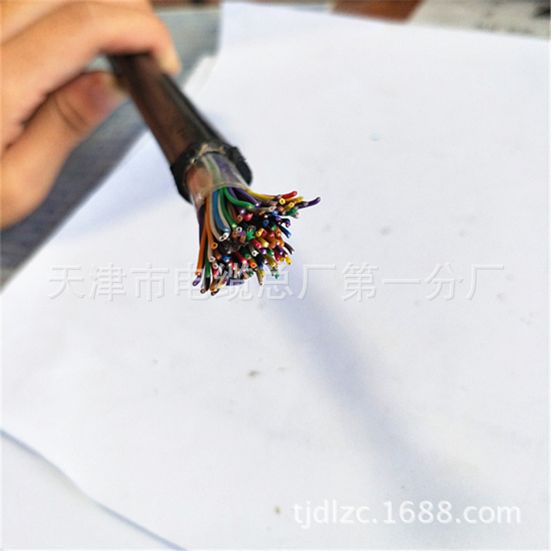 HYAC10*2*0.5自承式钢丝防潮市内通信电缆 多对铜芯线示例图8