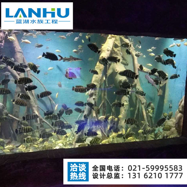 lanhu海洋馆施工安装 承接海洋馆工程 水族馆鱼缸施工 海洋馆图纸设计