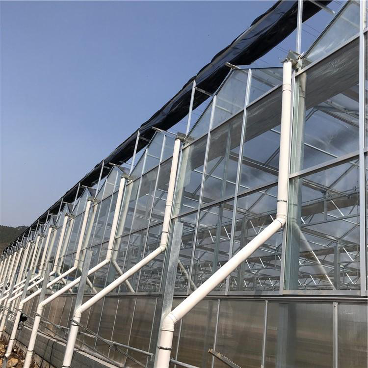 玻璃阳光温室工程 疏菜温室大棚 温室大棚建设工程 博伟 BW
