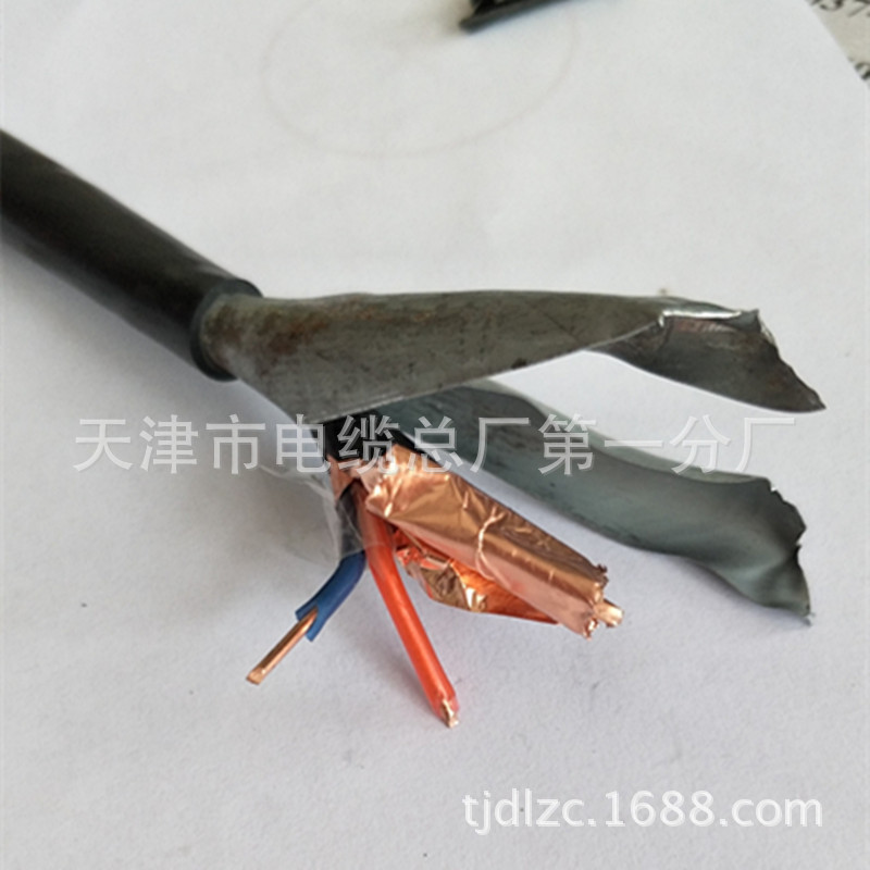 DJFPFP22铠装耐高温氟塑料电缆 专业厂家生产示例图11