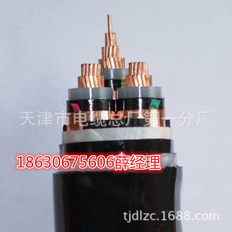 DL YJV22低烟低卤铠装电力电缆 WL-YJV22低烟无卤电力电缆示例图8