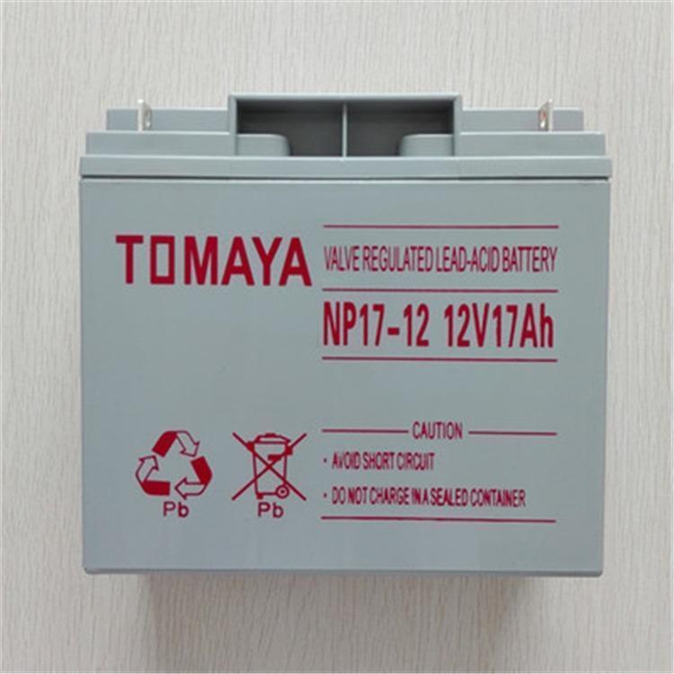 TOMAYA富山蓄电池SP100-12 12V100AH铅酸蓄电池 机房UPS直流屏电源专用 现货供应示例图9