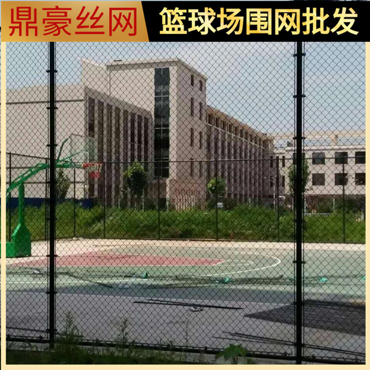 篮球场网单价 球场围网施工建设 蓝球场围网厂家 鼎豪丝网