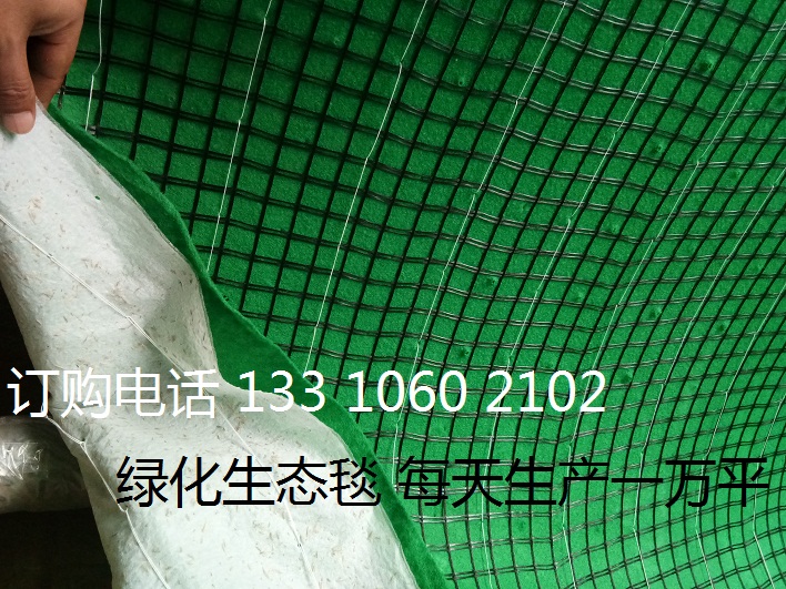 陕西抗冲生物毯 环保草毯 植被毯护坡绿化 生态毯 椰丝毯 cf网 膨润土防水毯厂家