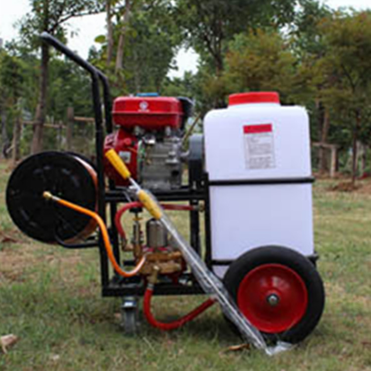 供应园林动力喷雾器 四轮手推式打药机 60L汽油喷雾机铜泵厂家示例图1