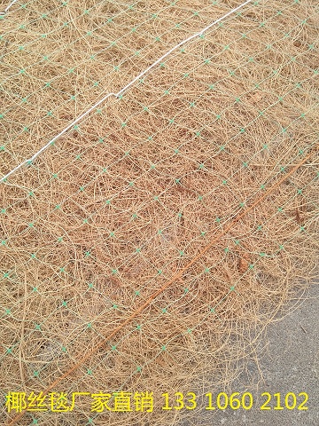 河道绿化椰丝毯 生态植被毯 抗冲植生毯 抗冲生物毯