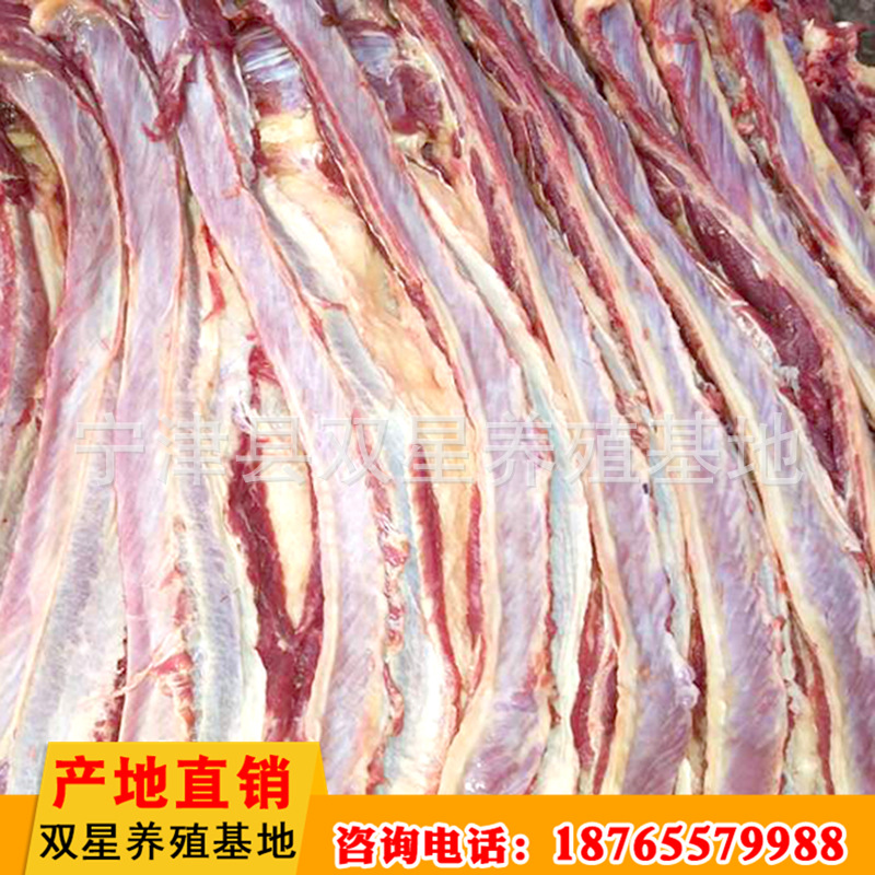 批发供应蒙古马鲜马肉 活马屠宰新鲜营养肋条肉 肉质鲜美进口马肉示例图17
