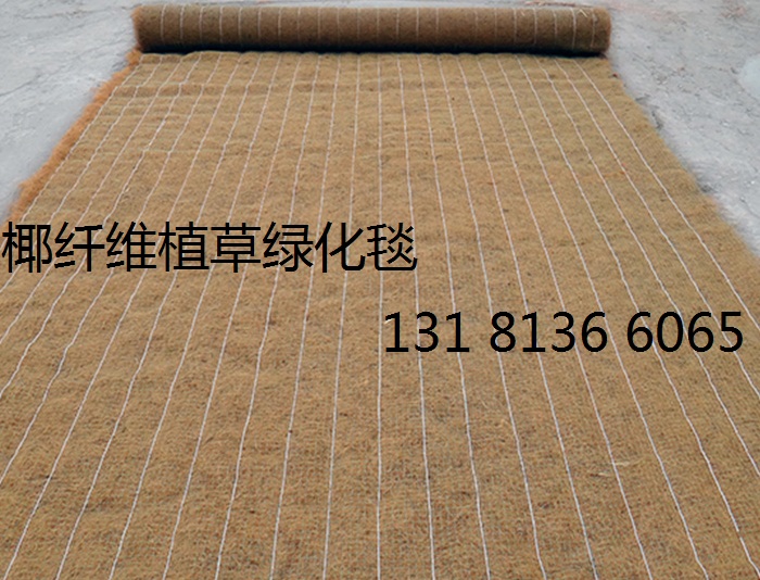 环保草毯 生态袋 植物纤维毯厂家 环保草毯 椰丝毯 植生袋