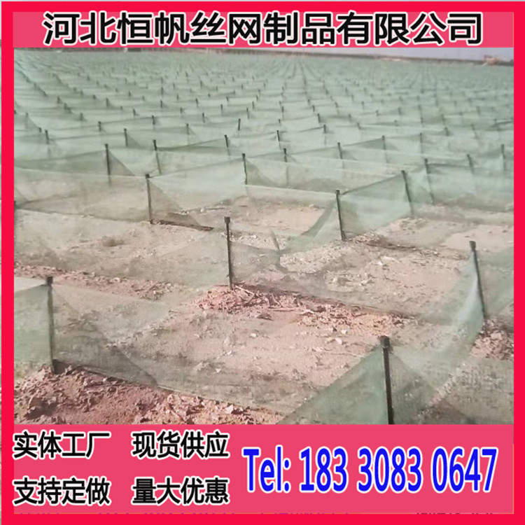 PE网片阻沙网农业用网高密度HDPE尼龙网格沙障厂家，高立式防沙网示例图2