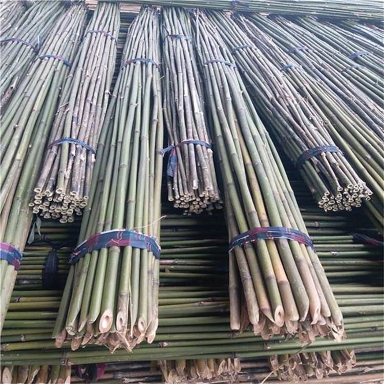 跳舞竹竿出售  装潢粗楠竹子  2米细竹片  围栏竹子