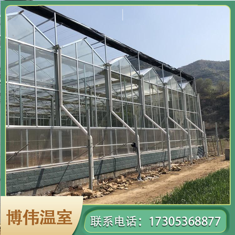 反季节温室大棚 农业温室 温室玻璃大棚造价 博伟 BW