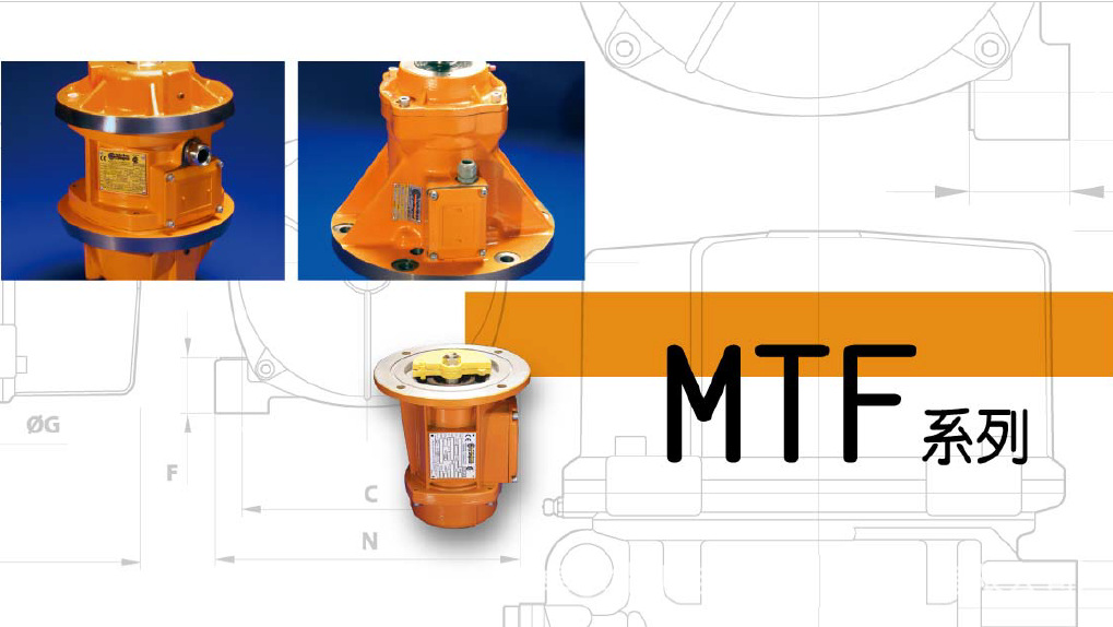 立式振动电机 MTF 3/650  上法兰  防爆  IP66 低价促销示例图4