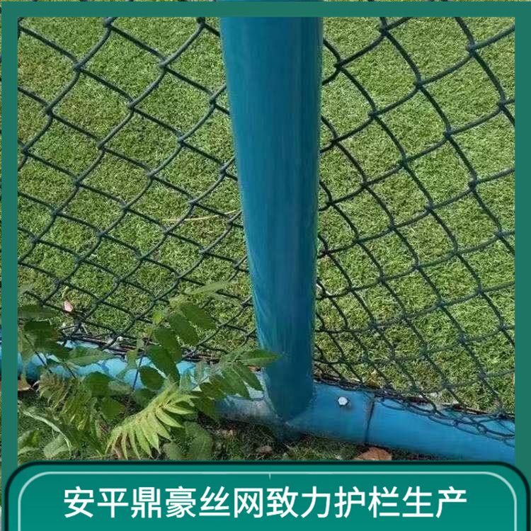 球场体育围网 球场护栏围网 羽毛球场地围网厂家直销 鼎豪丝网图片