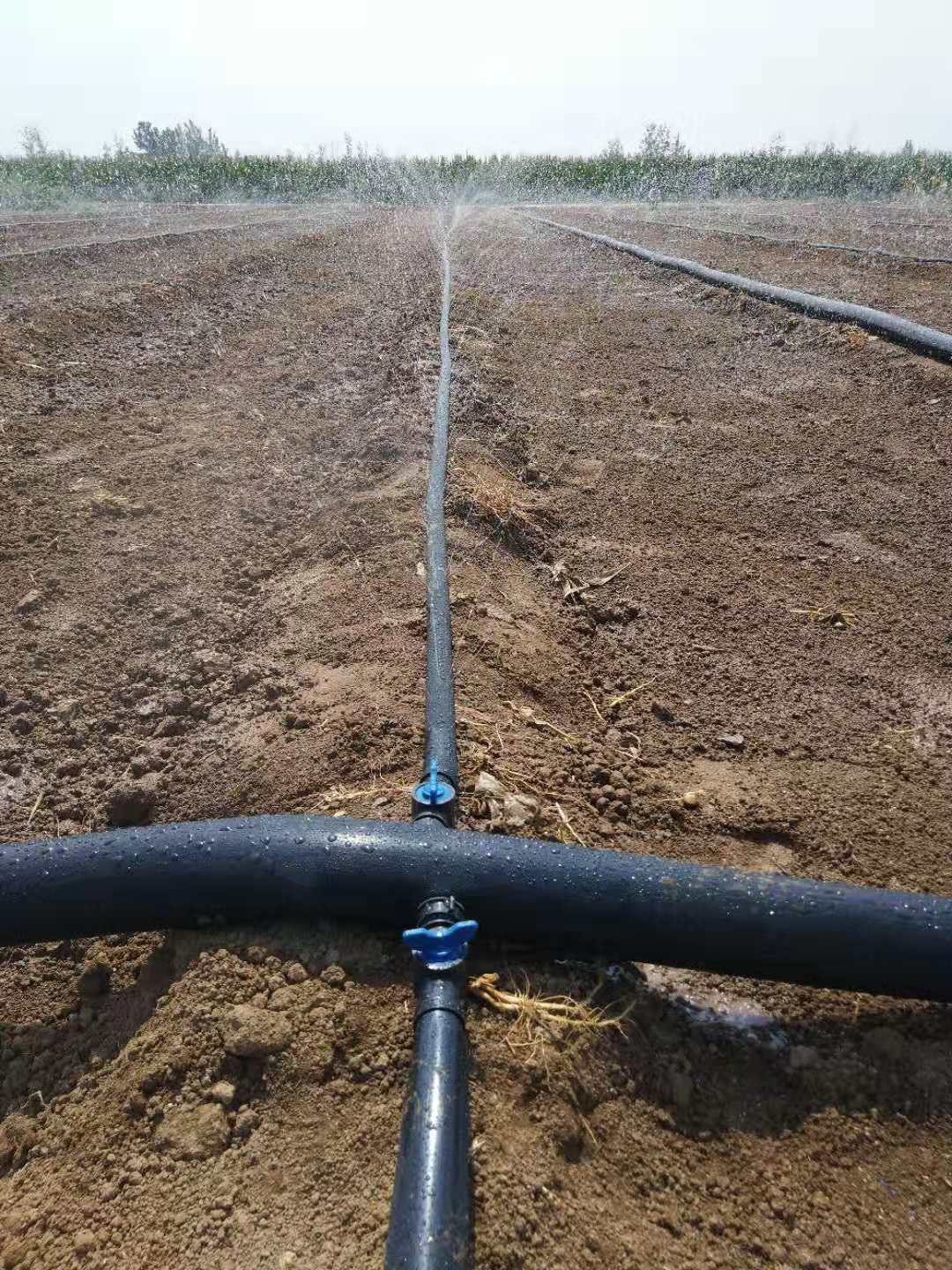 农田灌溉用洒水带子 喷灌带微喷带厂家直供示例图3