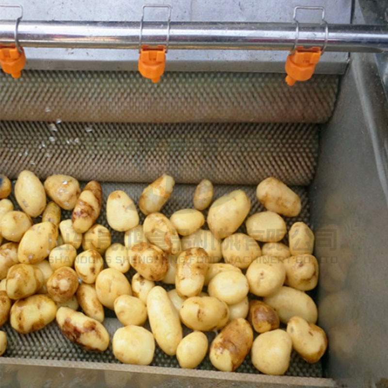 晟鸿马铃薯清洗机 大姜去皮清洗机 芋头胡萝卜土豆清洗去杂机示例图7