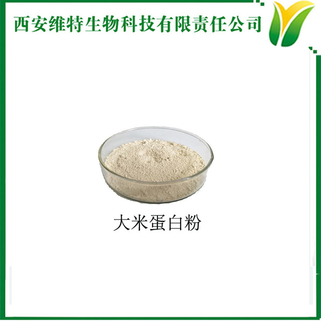 大米蛋白质粉500目 大米蛋白质粉水溶 水解大米蛋白