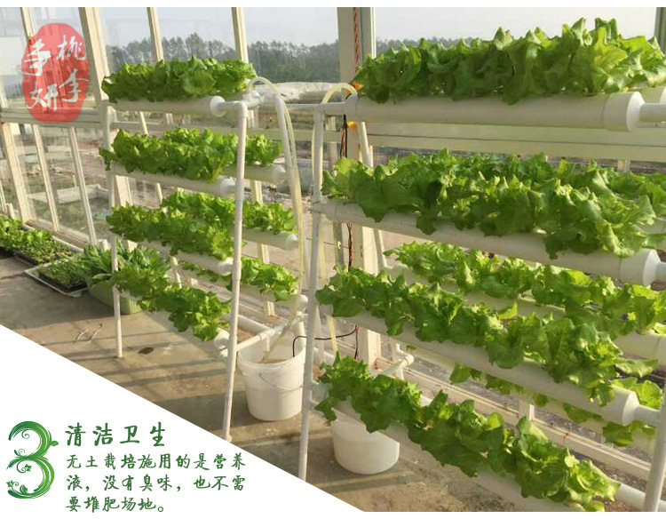 阳台无土栽培 单面四管水培设备 绿色蔬菜种植专用 全自动浇水示例图3