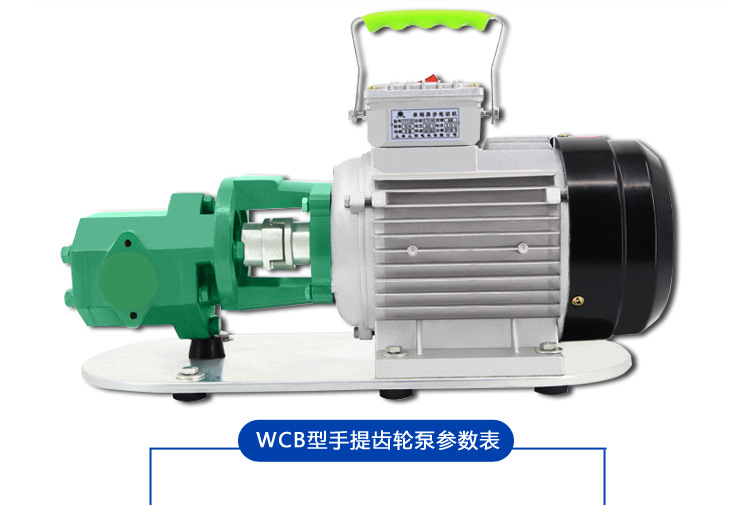直供 WCB50便携型齿轮泵 小型电动220V铸铁自吸手提泵 批发零售示例图11