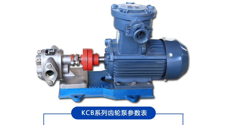 供应 防爆不锈钢KCB18.3齿轮泵 化工厂耐腐蚀耐高温小流量输油泵示例图11