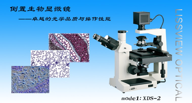 四川倒置显微镜价格 XDS-2 倒置生物显微镜 留辉科技公司供应