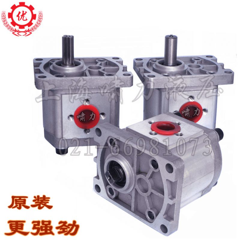 堆高车齿轮泵 CBN-F325 上海啸力堆高车液压泵图片